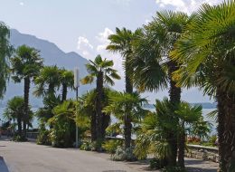 Montreux Lake Geneva