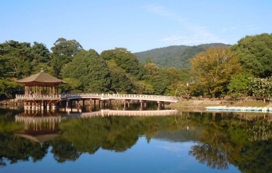 Nara tour package