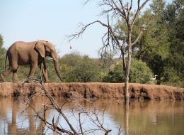 PILANESBERG NATIONAL PARK in south africa