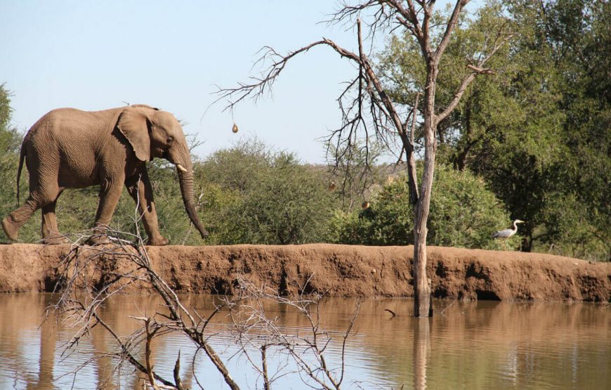 PILANESBERG NATIONAL PARK in south africa