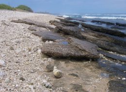 Reunion Saint Leu Beachrock