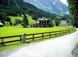 Road Through Village