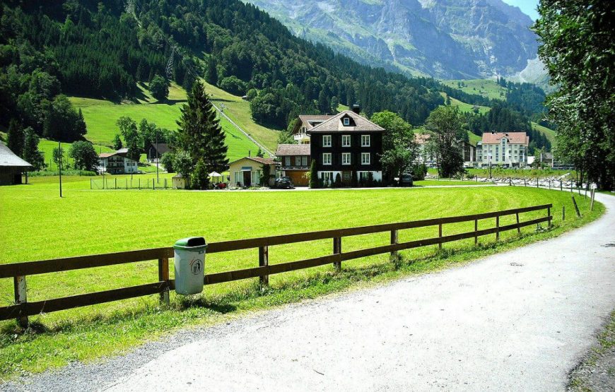 Road Through Village