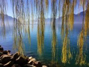 Switzerland Lake Geneva Montreux