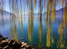 Switzerland Lake Geneva Montreux