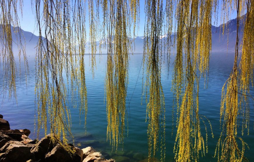 Switzerland Lake Geneva Montreux