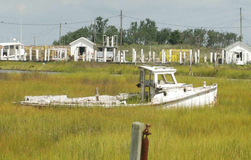 Tangier Island