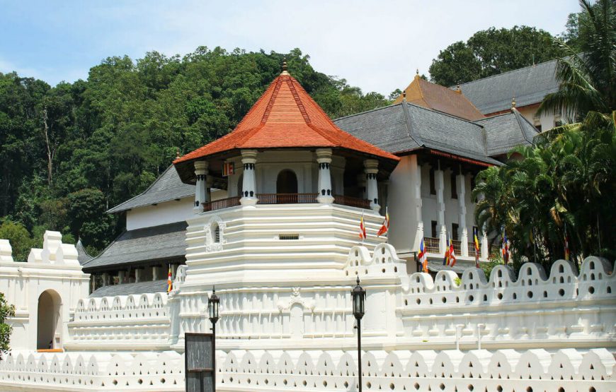 Temple in srilanka