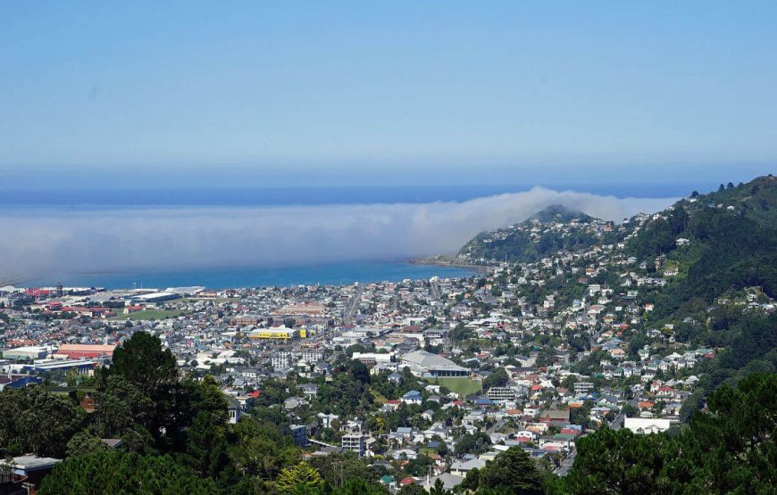 wellington tour package