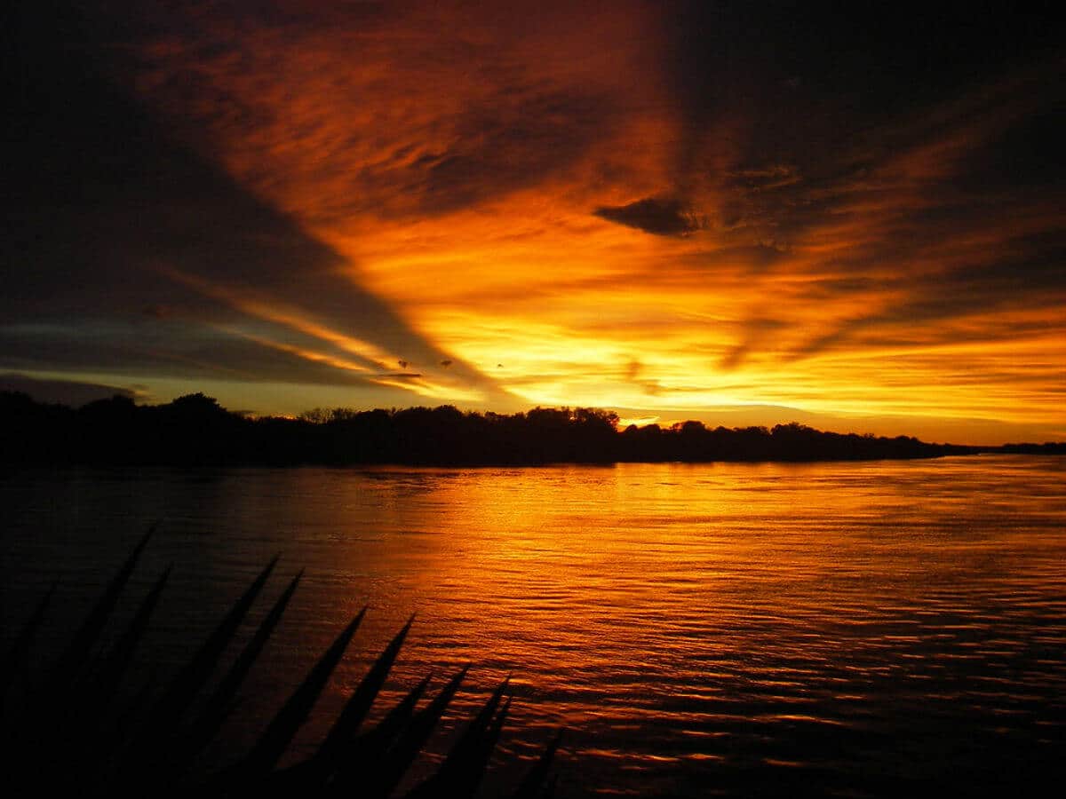 ZAMBEZI RIVER in south africa