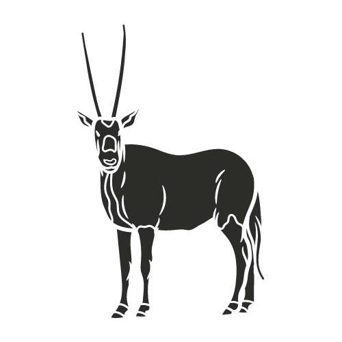 arabian oryx