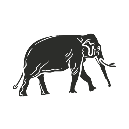 Asian Elephant