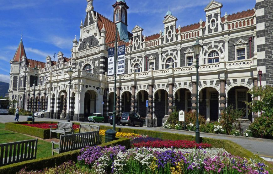 dunedin international holiday packages