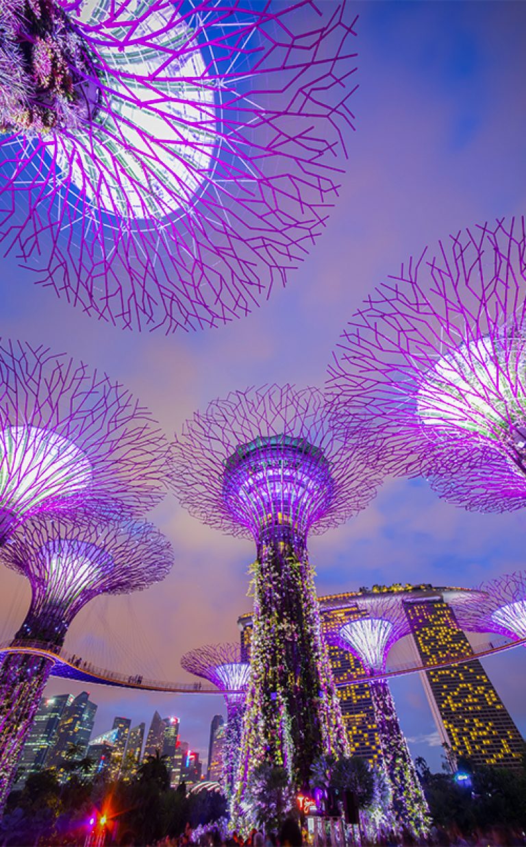 Gardens by the Bay