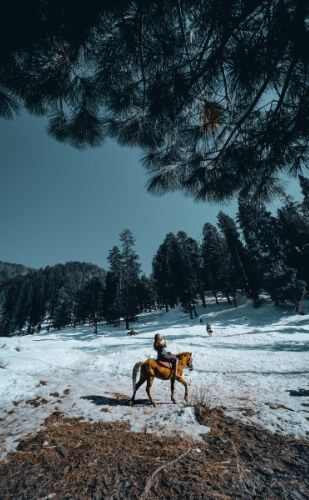 Destination Wedding in  Kashmir/