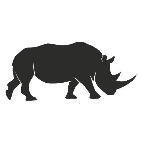 javan rhino