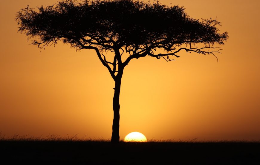 vacation packages to Kenya