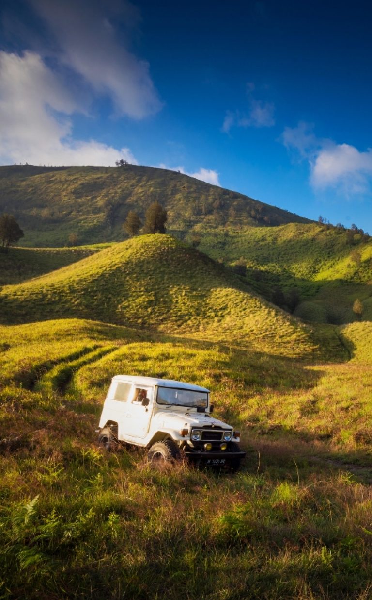 mount bromo