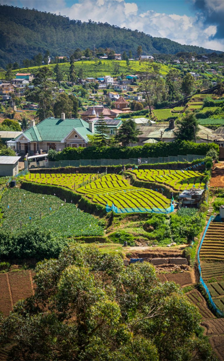 Nuwara Eliya