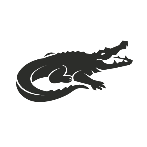 Saltwater Crocodile