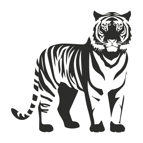 sumatran tiger