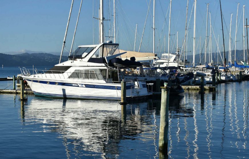 wellington-new-zealand-city-harbour