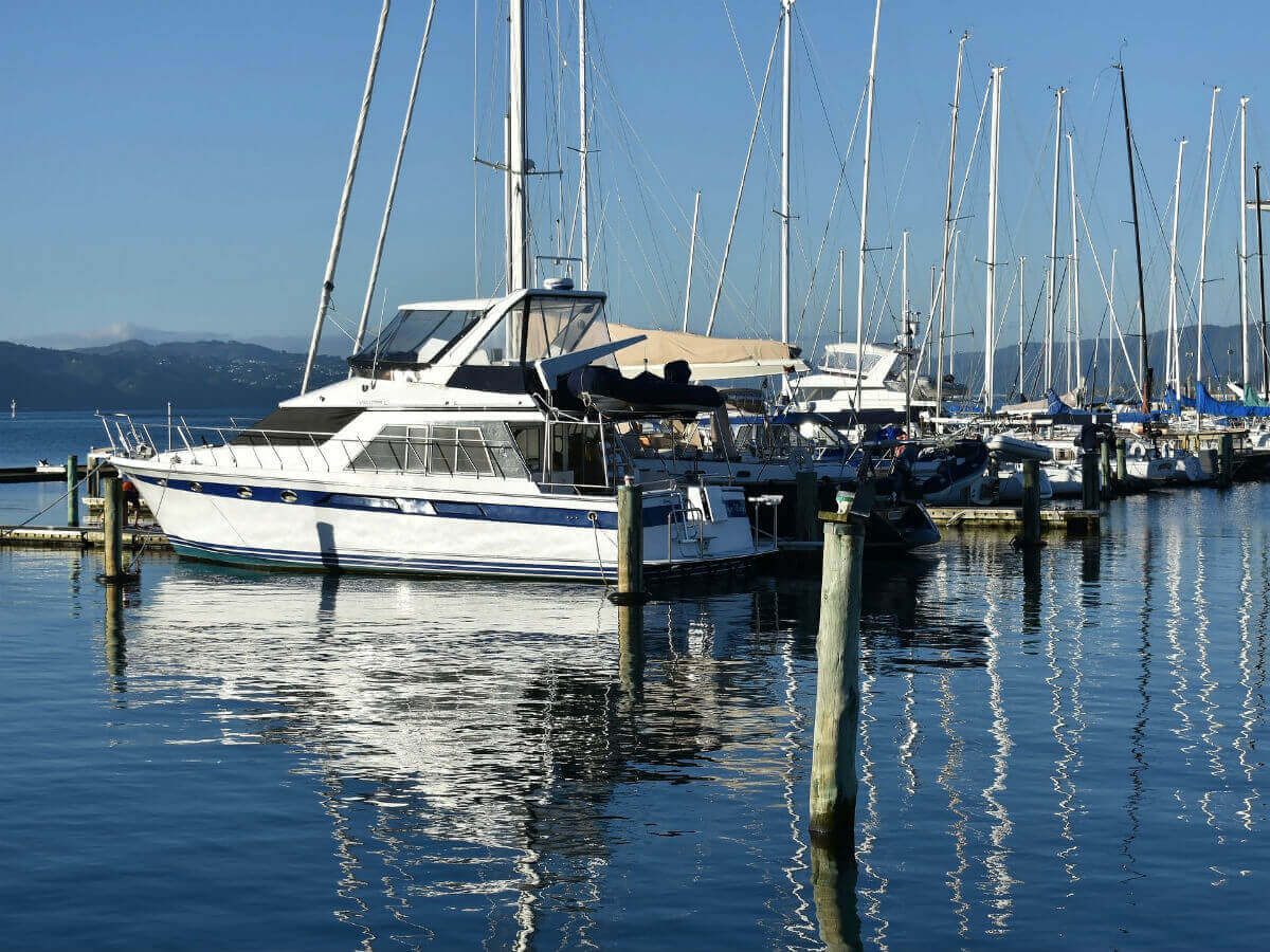 wellington-new-zealand-city-harbour