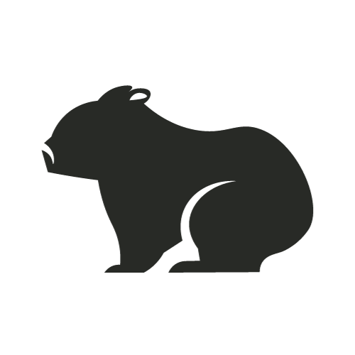 wombats in australia
