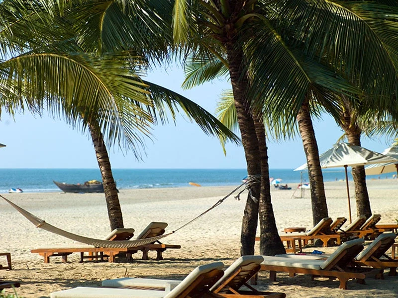 No. 1 Travel Company in South India