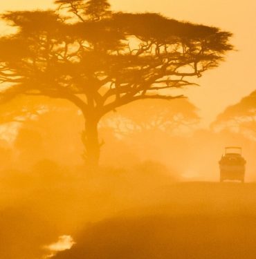 Kenya Tour Packages