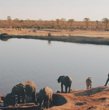 Zimbabwe Tour Packages