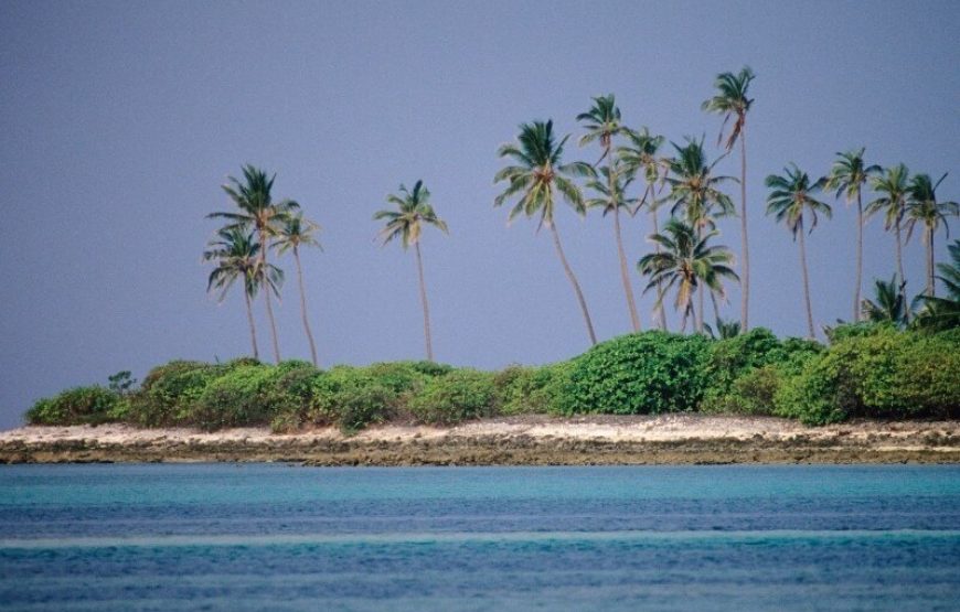 Chennai to Lakshadweep cruise ticket booking