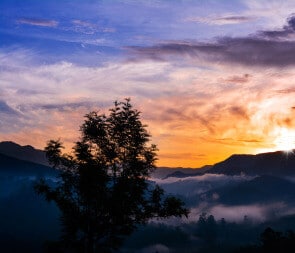 Kodaikanal Honeymoon Packages