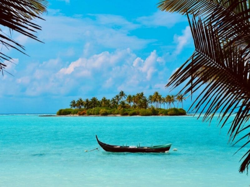 No. 1 Travel Company in South India