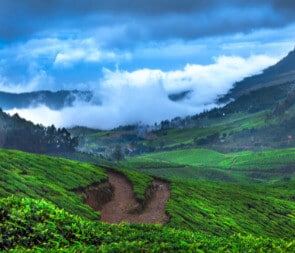 Munnar Honeymoon Packages