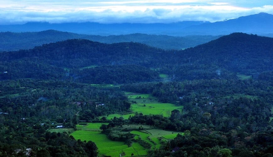 Coorg Honeymoon Tour Packages from Chennai