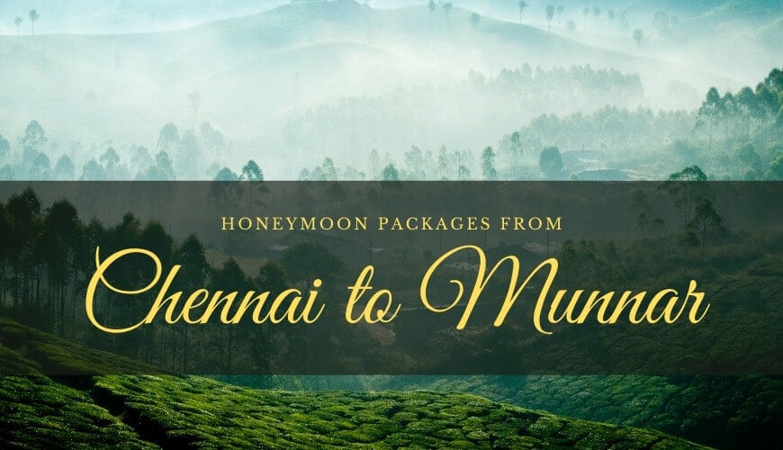 Munnar Honeymoon Packages from Chennai