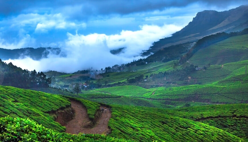 Munnar Honeymoon Tour Packages from Chennai