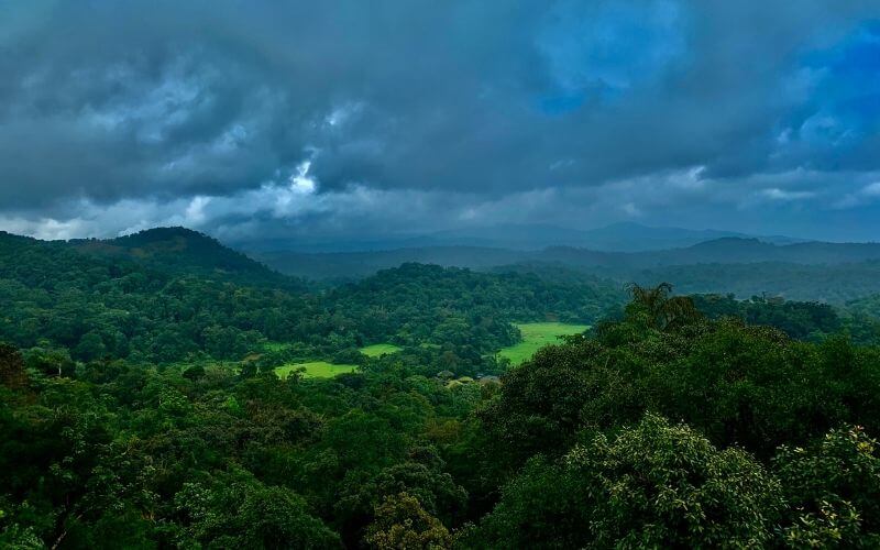 Coorg Trip Package for Couples