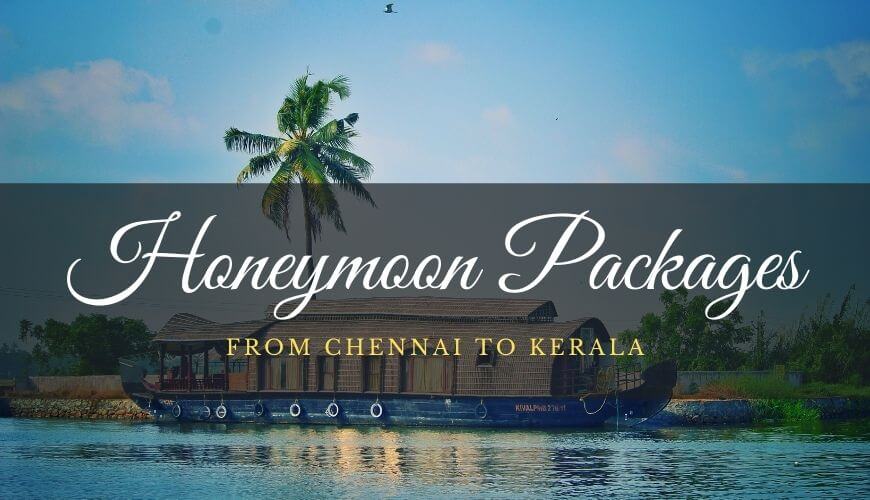 kerala trip package from chennai