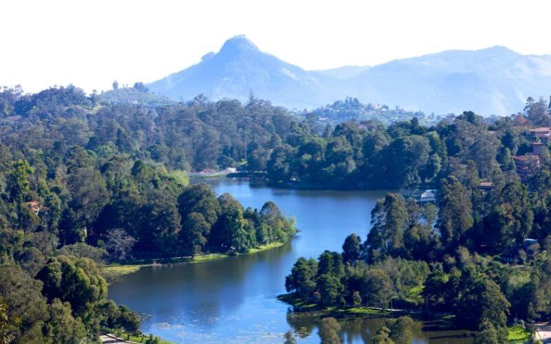 Kodaikanal Packages for Couples