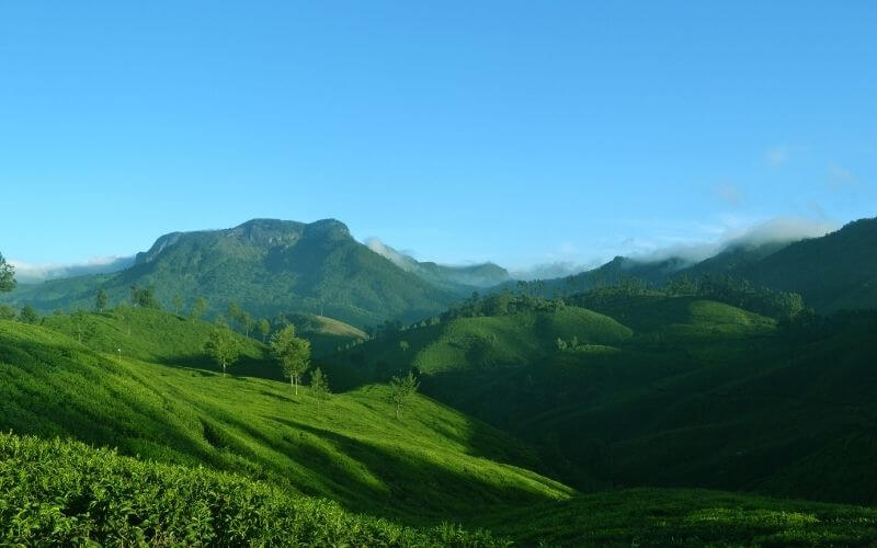 Munnar Packages for Couples