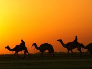 dubai trip package