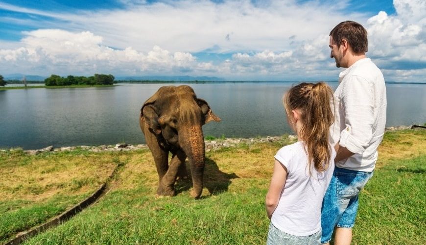 srilanka tour packages