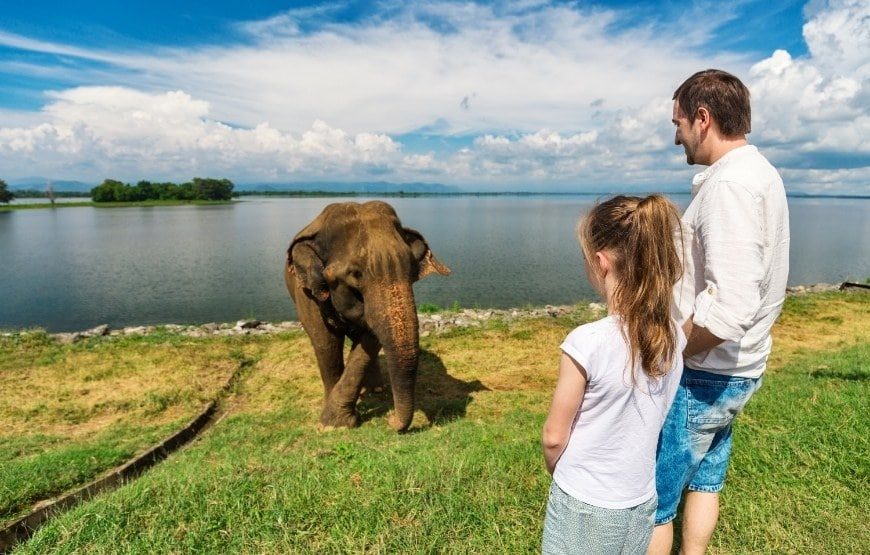 srilanka tour packages