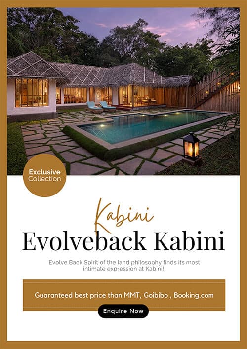 Evolveback Kabini Collection