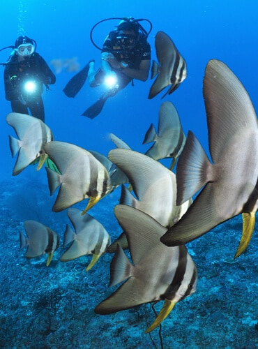 Scuba Diving at Meedhupparu Maldives