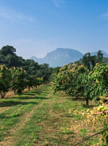 Farm Visit at Anantya Resorts