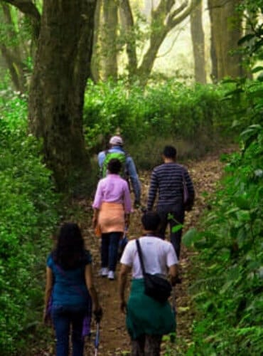 Plantation Tour at Tamara Coorg