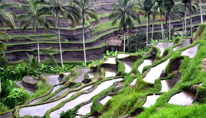 Tourist Places North Bali
